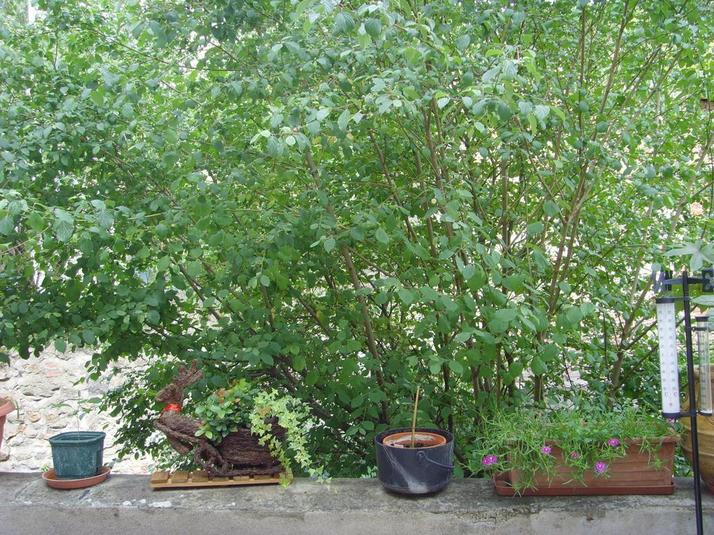 Apartment Les Aubettes Jumeaux