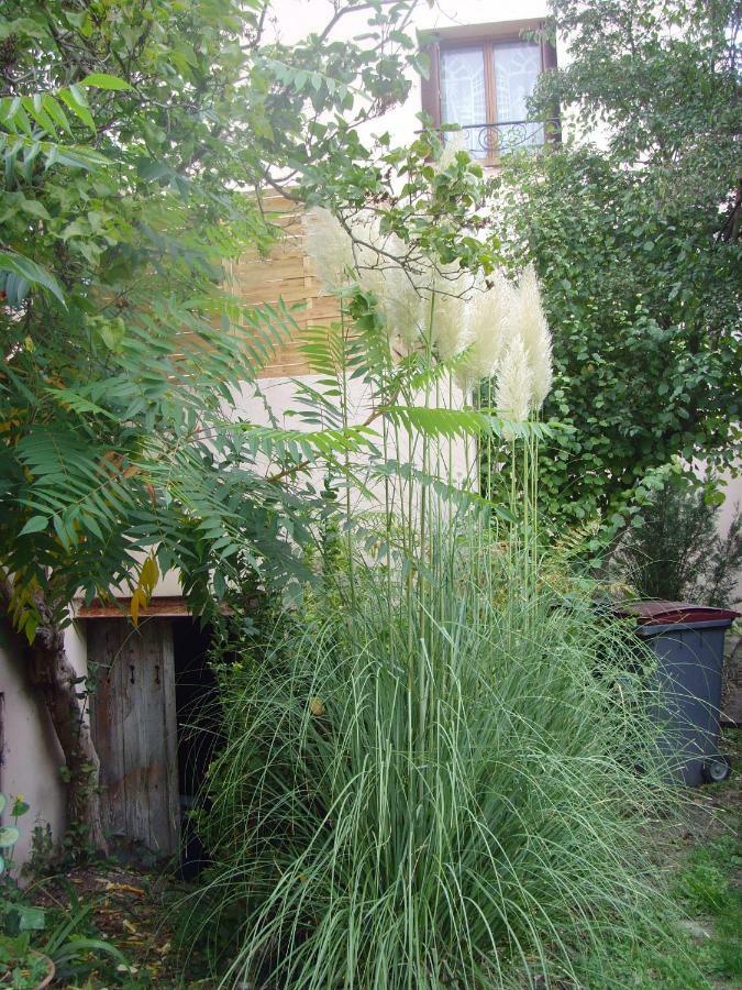 Les Aubettes Apartment *